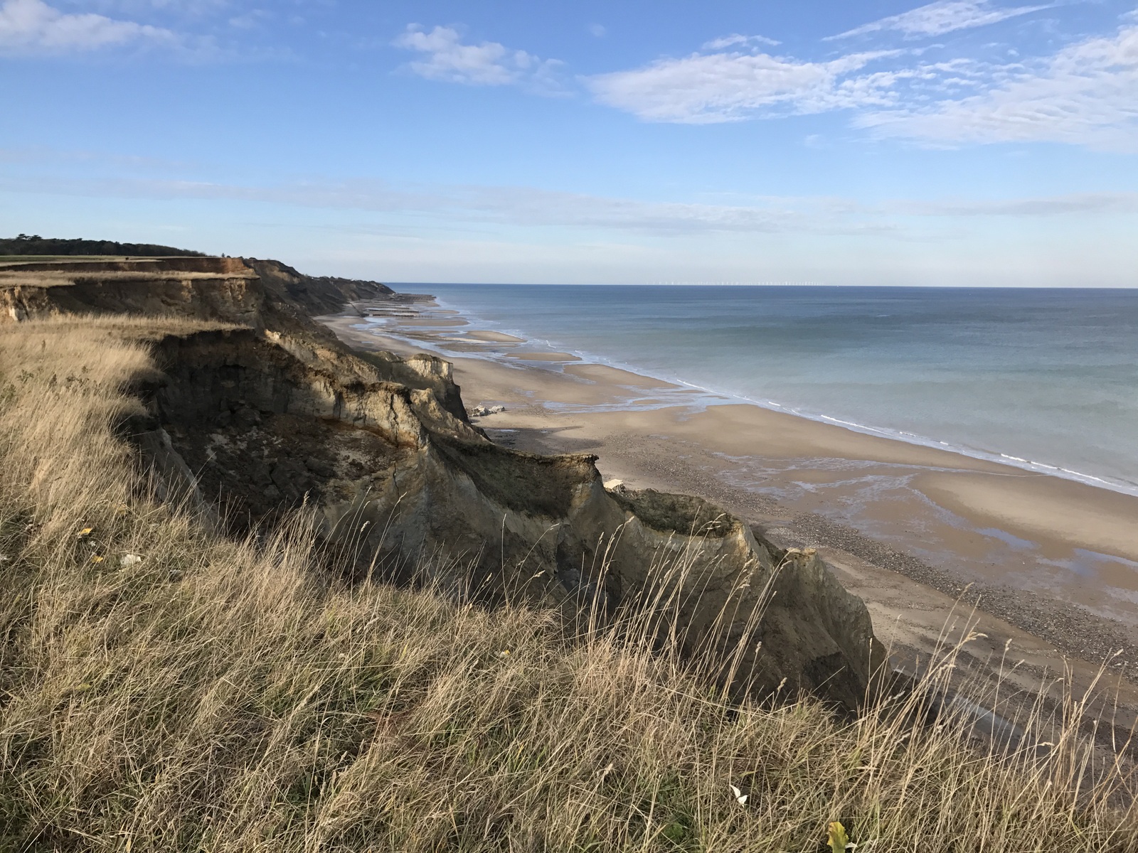 Trimingham cliffs