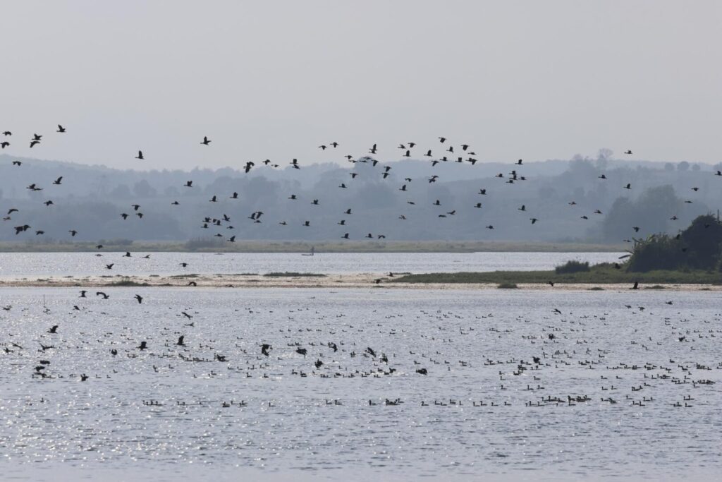 Chiang Saen Lake