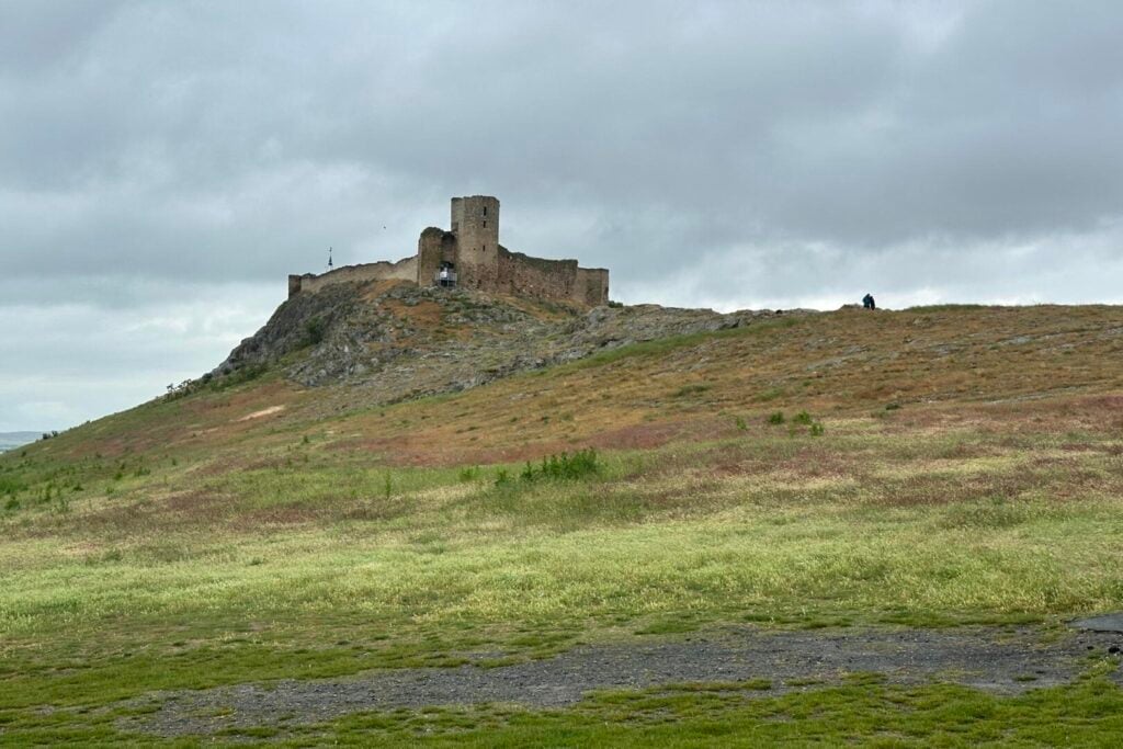 Enisala
